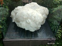 周守俭