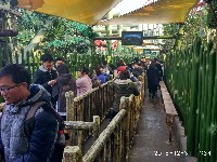 周守俭