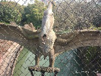 周守俭