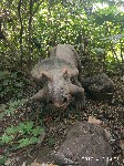 周守俭