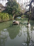 周守俭