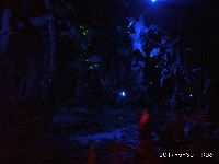 周守俭