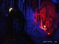 周守俭