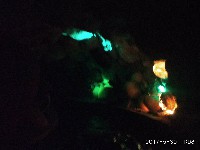 周守俭