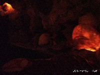 周守俭