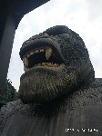 周守俭