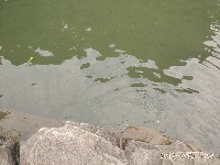 周守俭