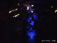 周守俭