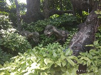 周守俭