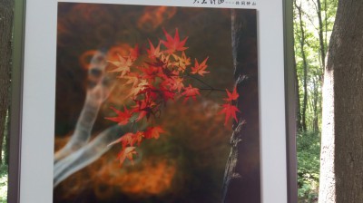 周守俭
