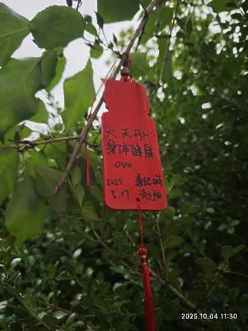 连云港