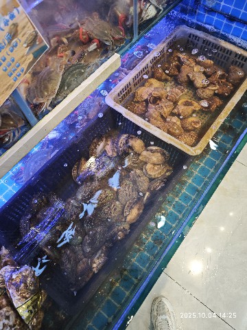 连云港