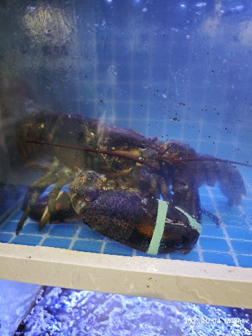 连云港