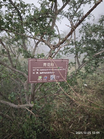 连云港