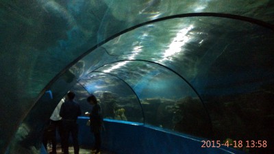 周守俭的旅游空间相册