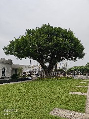 澳门