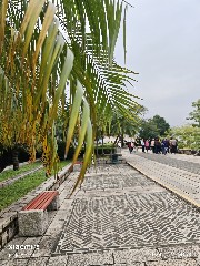 澳门