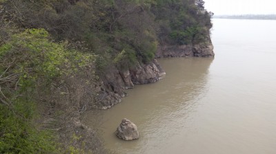 周守俭