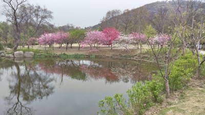 周守俭