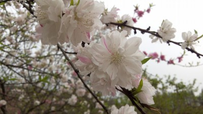 周守俭