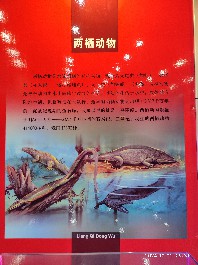 长春
