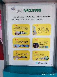 长春