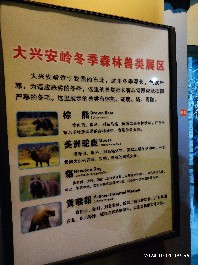 长春