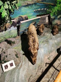 长春