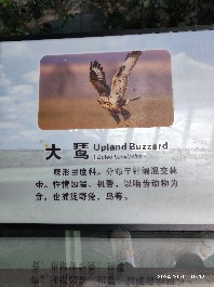 长春