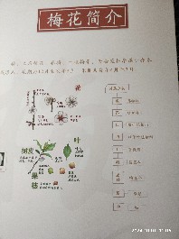 长春