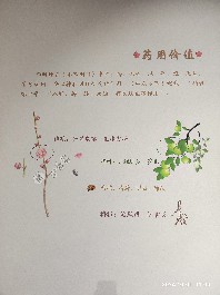 长春