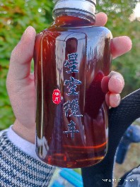 长春
