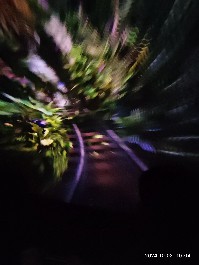 长春