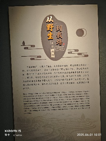 长沙