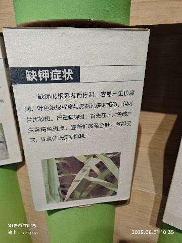 长沙