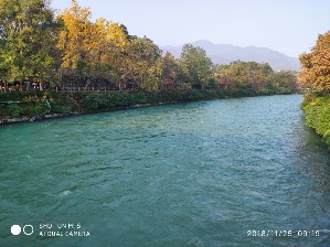 周守俭