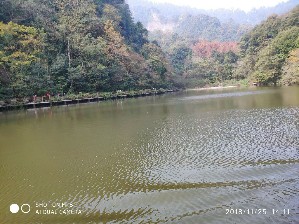 zhoushoujian