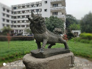 周守俭