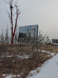 大同