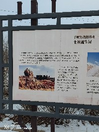 大同