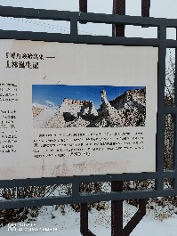 大同