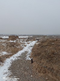大同