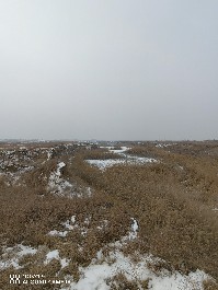 大同