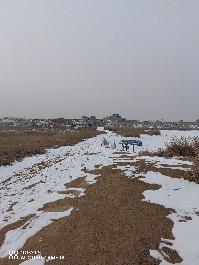 大同