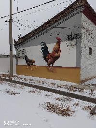大同