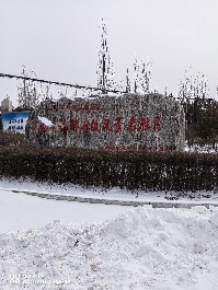 大同