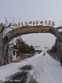 大同