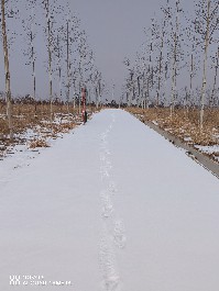 大同