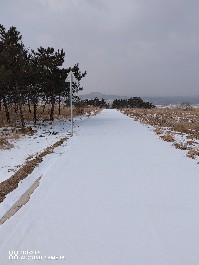 大同