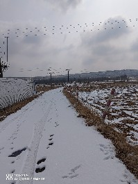 大同